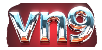 vn9 logo